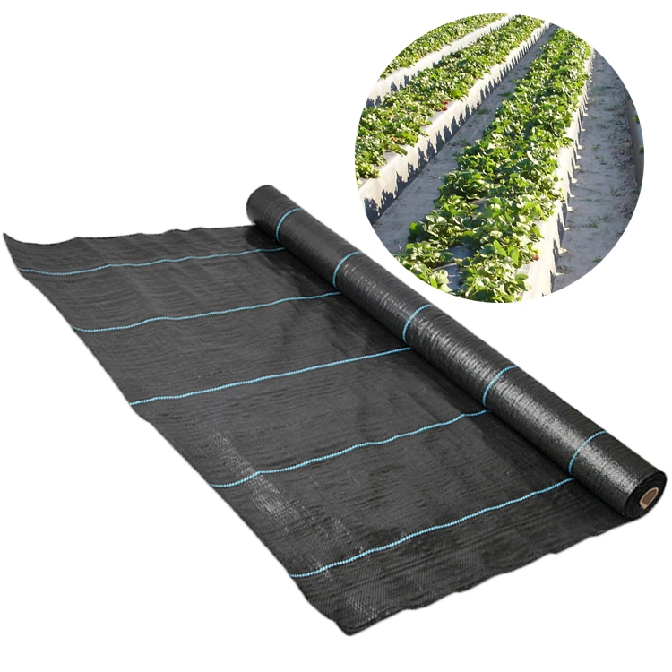 PP PE Weed Mat Woven Plastic Weed Control Block Fabric Cloth Weed Barrier Non Woven for Agricultural Ground Cover